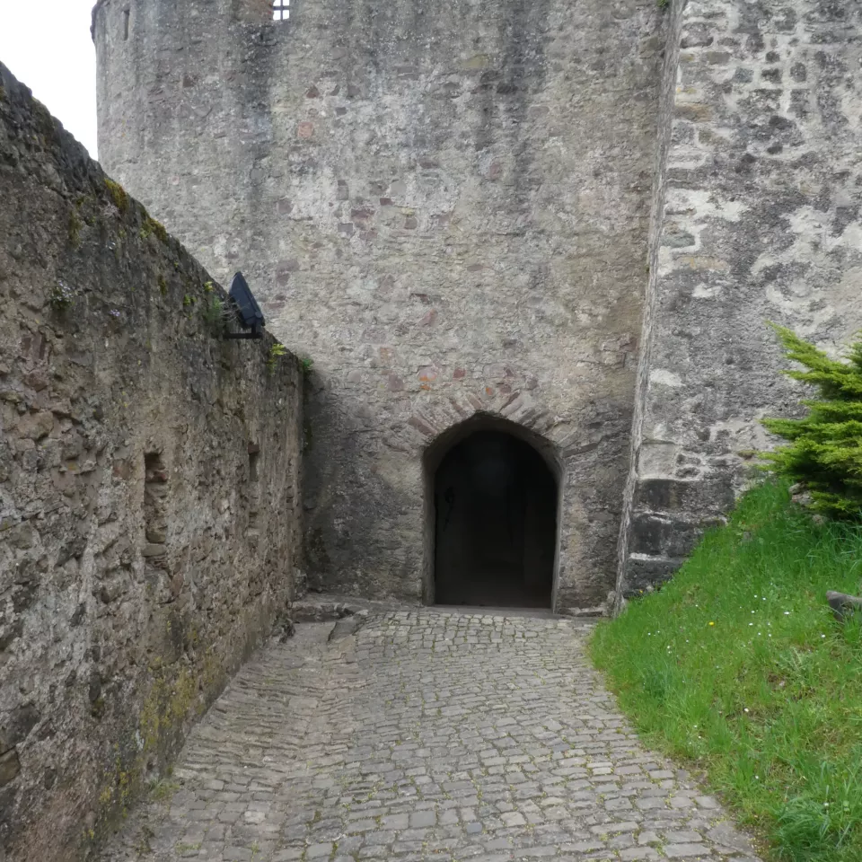 Château des Ducs de Lorraine