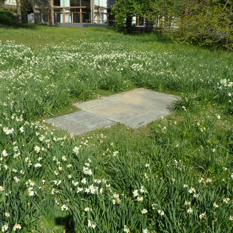 Parc floral