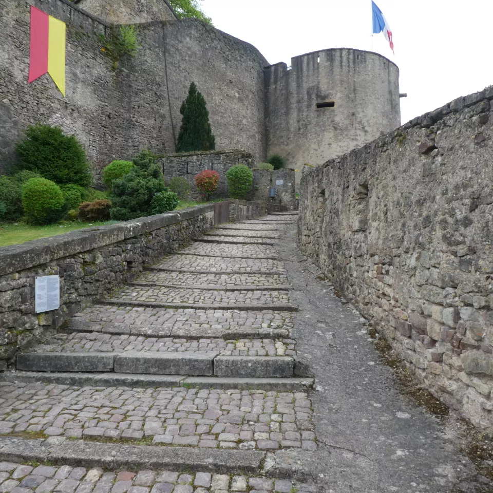 Château des Ducs de Lorraine